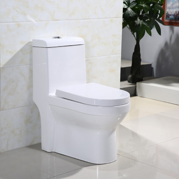 Dual Flush One-Piece Water Closet