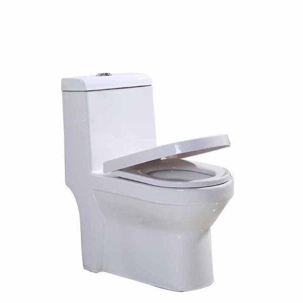 Dual-Flush-One-Piece-Water-Closet-Soft-Close