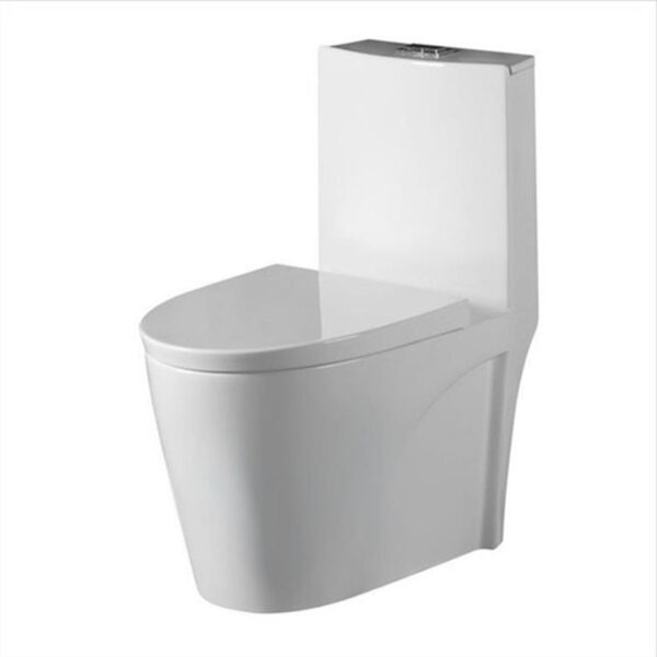 One Piece Water Closet