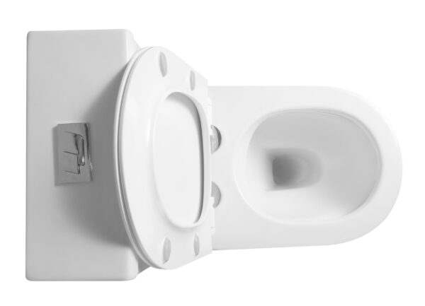 Rimless WC One Piece