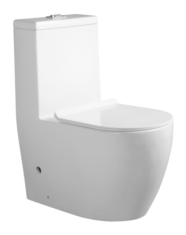 Rimless One Piece Water Closet